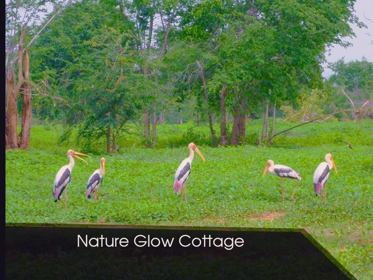 Nature Glow Cottage Удавалаве Екстер'єр фото