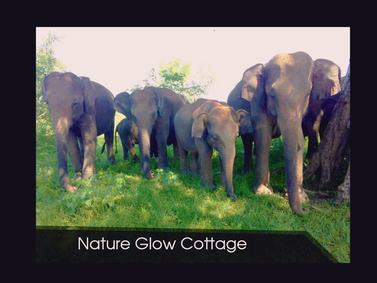 Nature Glow Cottage Удавалаве Екстер'єр фото